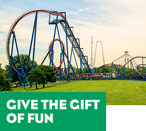 Give the Gift of Fun. 