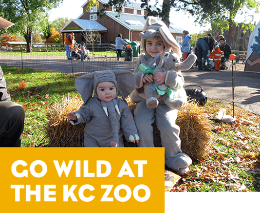 Go Wild at the KC Zoo - Buy Tickets