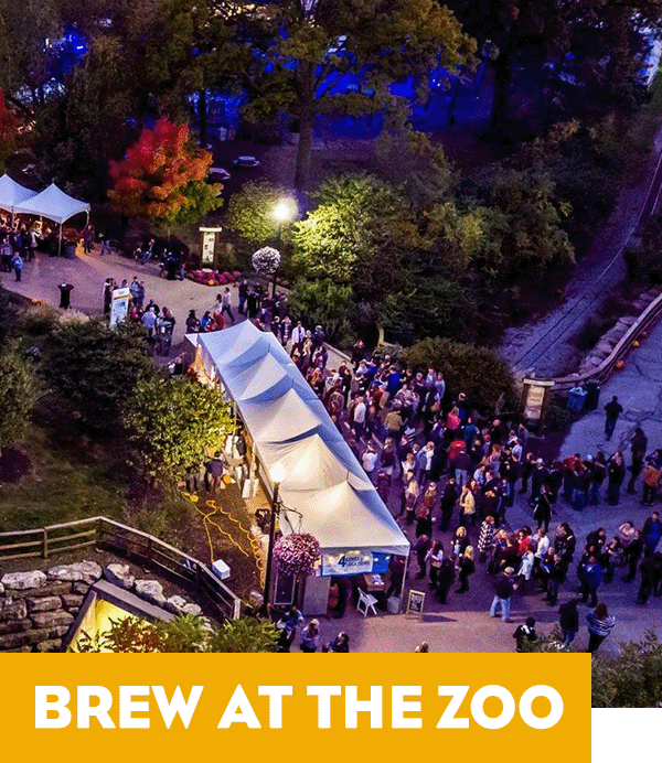 An arial shot of people at the Zoo - the tagline reads Brew at the Zoo