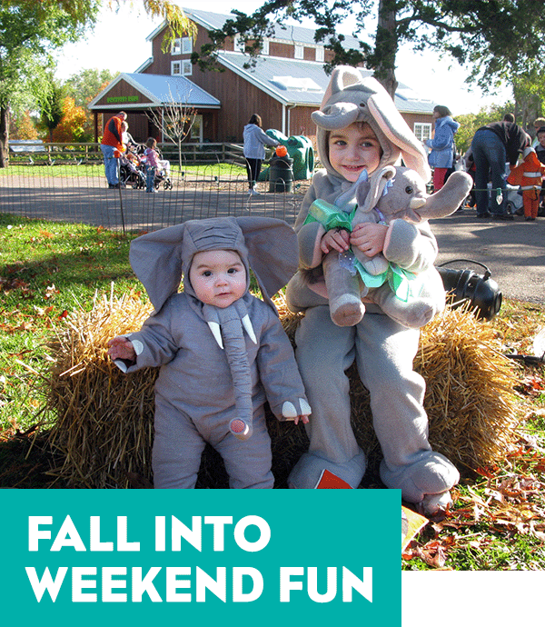 A photo of two children in elephant costumes at the KC Zoo. A headline reads: Fall Into Weekend Fun.